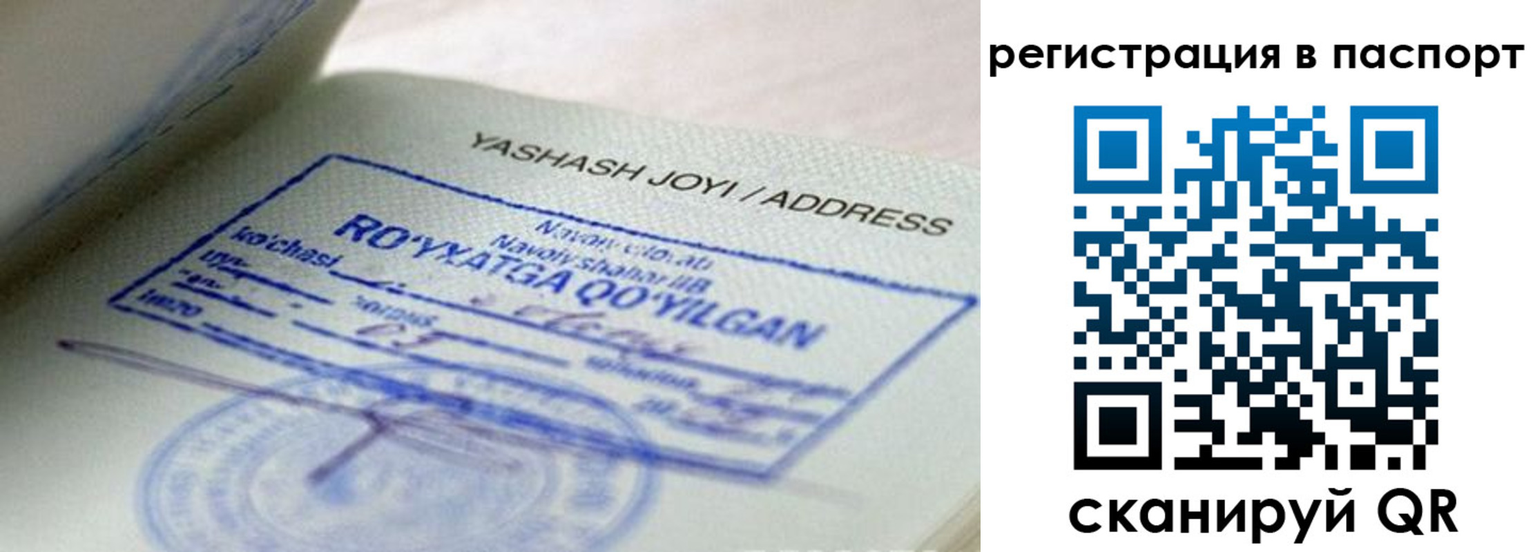 временная регистрация надежно в Курганской области